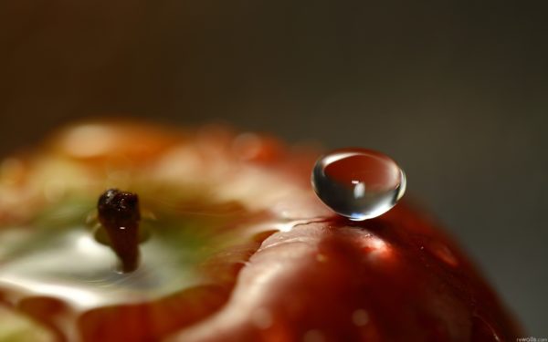 apple droplet, Order of Bards, Ovates & Druids.