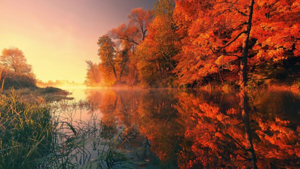 autumn lake, Order of Bards, Ovates & Druids.