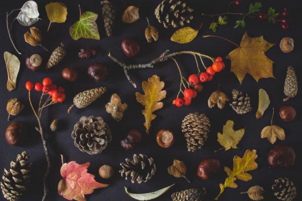 autumn treasures, Order of Bards, Ovates & Druids.