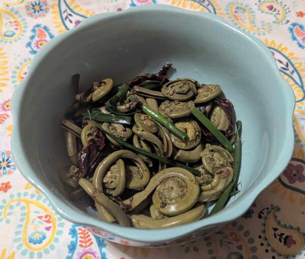 Beltane fiddleheads 5, Order of Bards, Ovates & Druids.