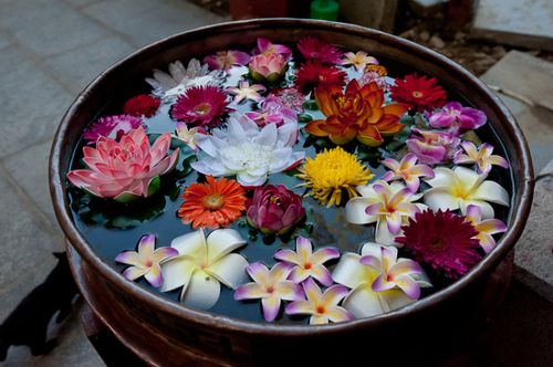 bowl of flowers, Order of Bards, Ovates & Druids.