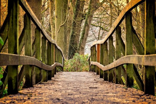 bridge 3024773 960 720, Order of Bards, Ovates & Druids.