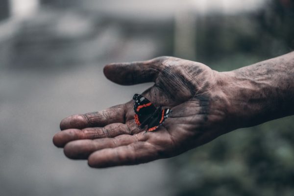 butterfly in hand, Order of Bards, Ovates & Druids.