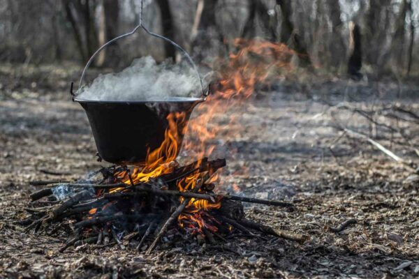 cauldron forest, Order of Bards, Ovates & Druids.