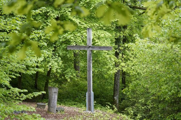 Cemetery Cross Nature Fried Forest Forest 6285738, Order of Bards, Ovates & Druids.
