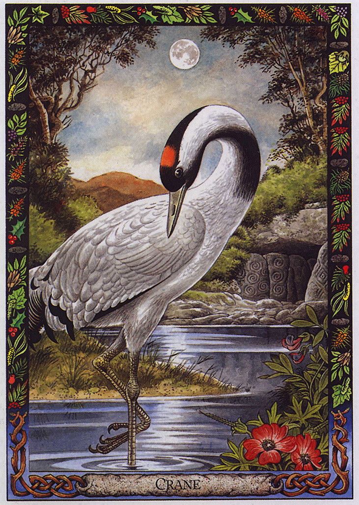 crane druid animal oracle, Order of Bards, Ovates & Druids.
