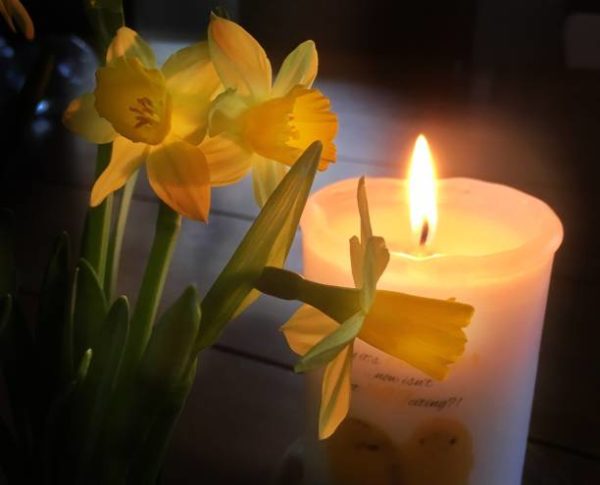 daffs and candle, Order of Bards, Ovates & Druids.