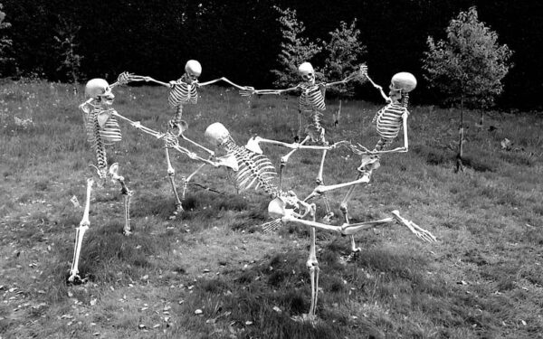 dancing skeletons Peakpx, Order of Bards, Ovates & Druids.