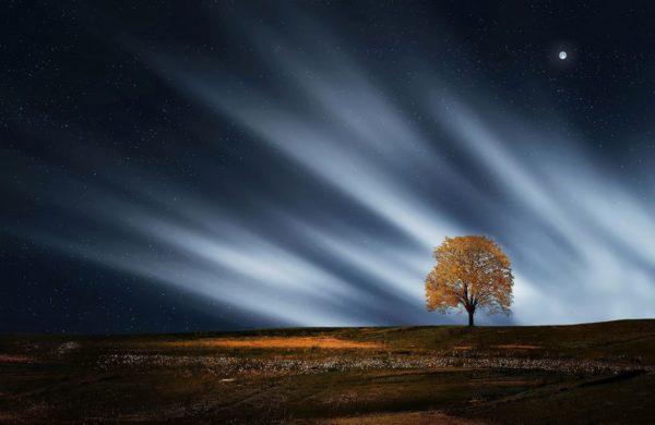 dark sky, Order of Bards, Ovates & Druids.