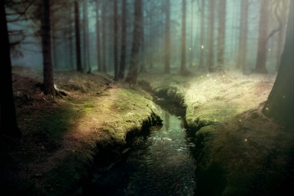 dark stream, Order of Bards, Ovates & Druids.