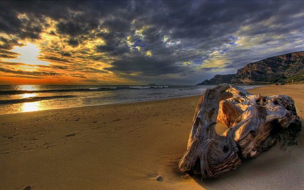 driftwood, Order of Bards, Ovates & Druids.