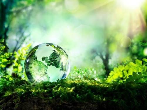 earth green, Order of Bards, Ovates & Druids.