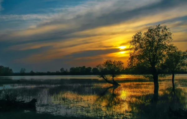 evening sun water, Order of Bards, Ovates & Druids.