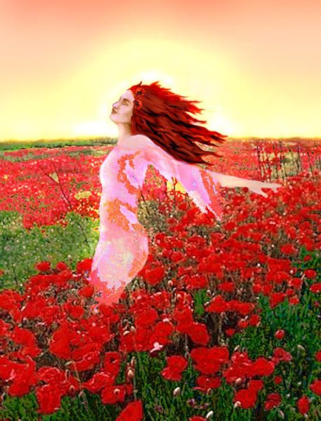 Summer Solstice flower field.