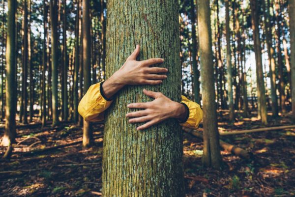 Forest bathing, Order of Bards, Ovates & Druids.