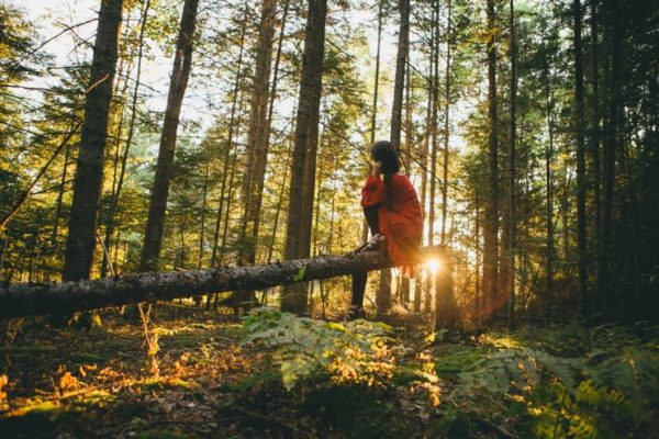 forest bathing, Order of Bards, Ovates & Druids.
