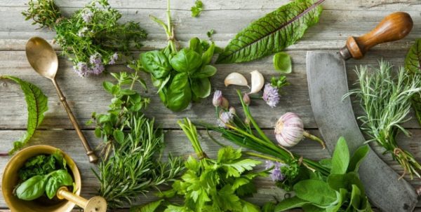 fresh herbs, Order of Bards, Ovates & Druids.