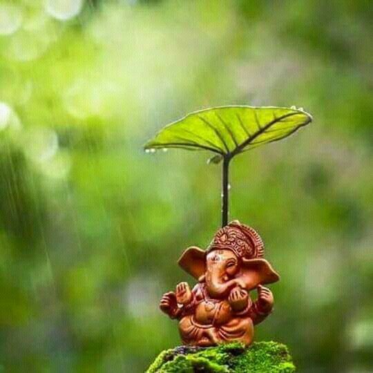 ganesh leaf, Order of Bards, Ovates & Druids.