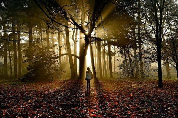 girl woods, Order of Bards, Ovates & Druids.