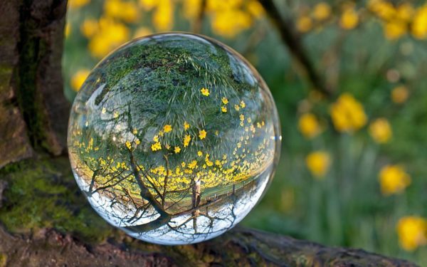 globe tree, Order of Bards, Ovates & Druids.