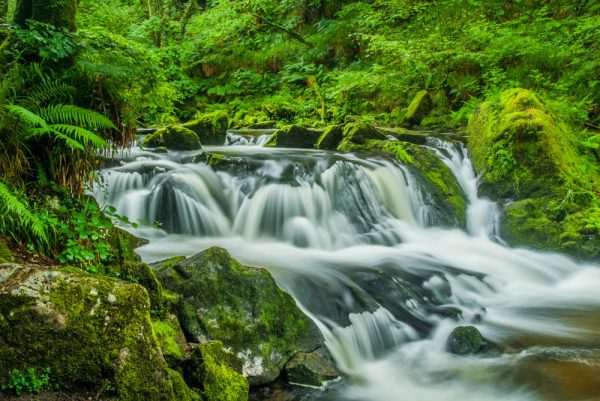 Golitha Falls 6228, Order of Bards, Ovates & Druids.