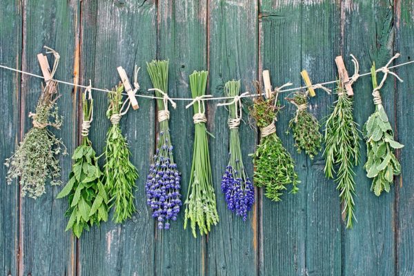 Herbs drying 1, Order of Bards, Ovates & Druids.