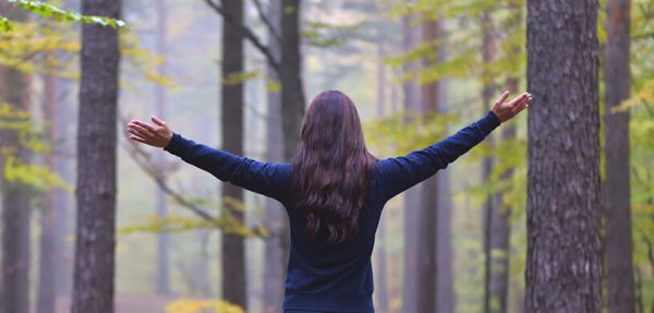 howtopracticeqigongforestmeditation, Order of Bards, Ovates & Druids.