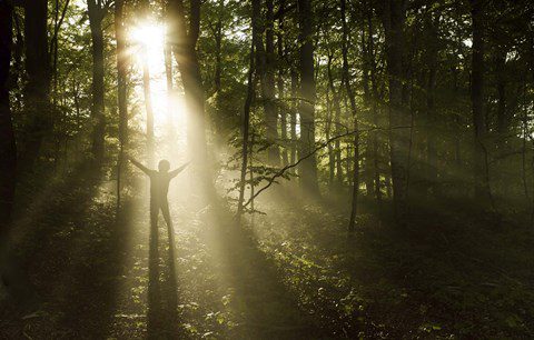 in the light 2, Order of Bards, Ovates & Druids.