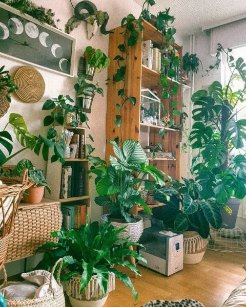 indoor grove, Order of Bards, Ovates & Druids.