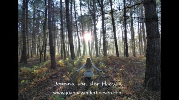 jo van der hoeven, Order of Bards, Ovates & Druids.