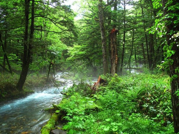 kamikochi 1757101 960 720, Order of Bards, Ovates & Druids.