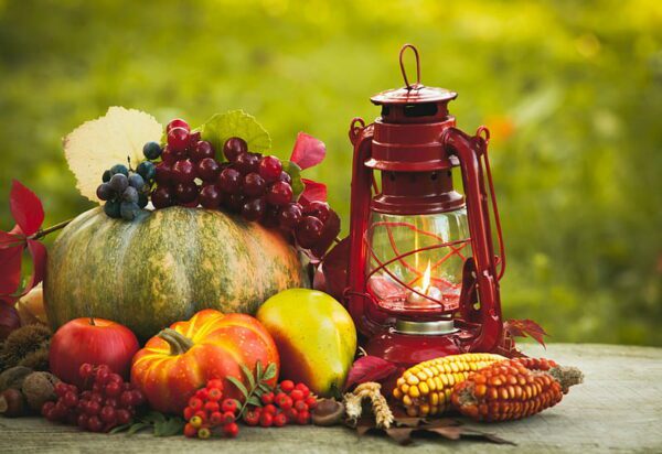 lantern harvest, Order of Bards, Ovates & Druids.