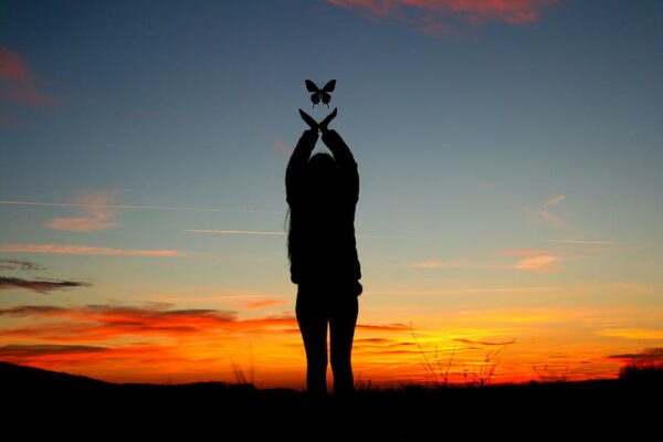 letting go butterfly, Order of Bards, Ovates & Druids.