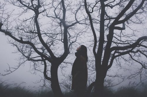 listen to trees, Order of Bards, Ovates & Druids.