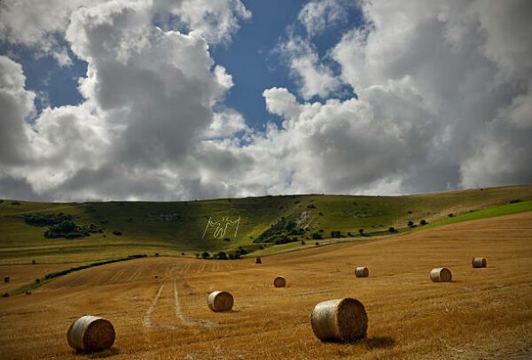 long man harvest, Order of Bards, Ovates & Druids.