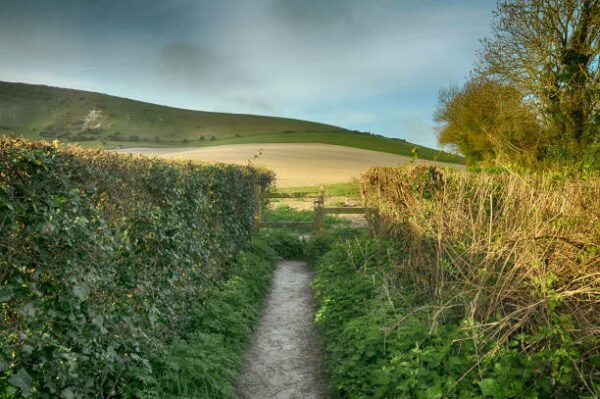 longman footpath, Order of Bards, Ovates & Druids.