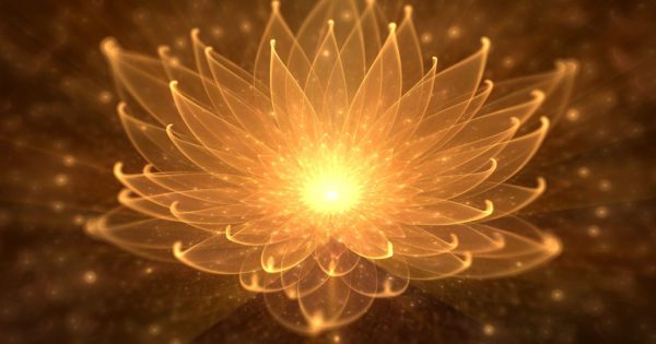 lotus light, Order of Bards, Ovates & Druids.