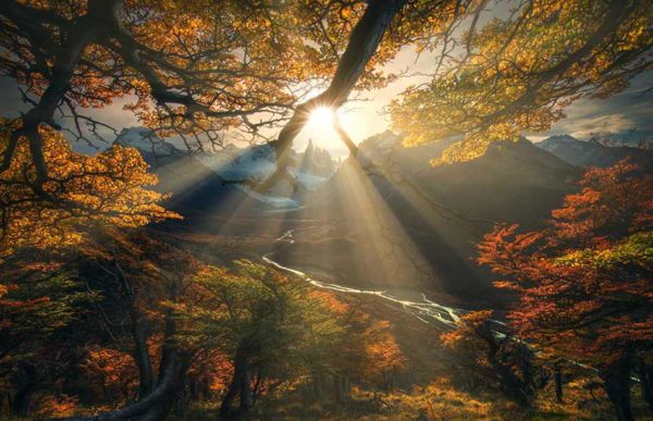 luminar realistic sun rays 1, Order of Bards, Ovates & Druids.