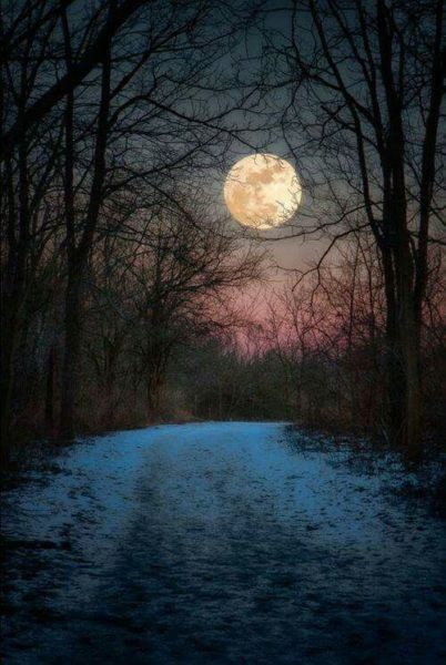 luna, Order of Bards, Ovates & Druids.