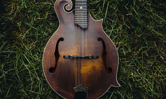 mandolin on grass, Order of Bards, Ovates & Druids.