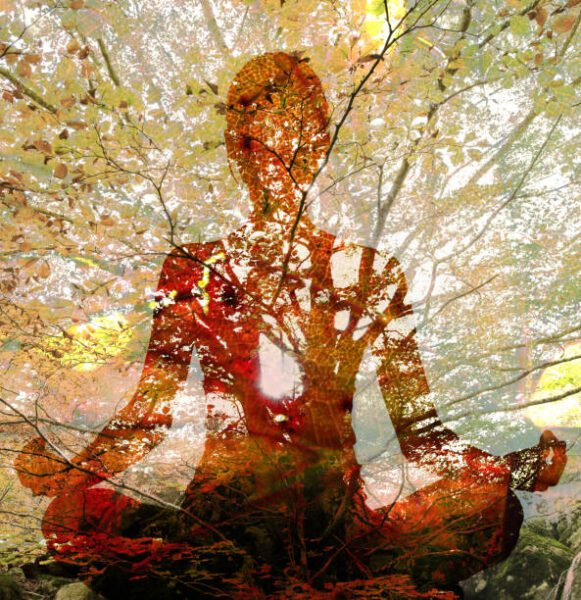 meditation branches, Order of Bards, Ovates & Druids.