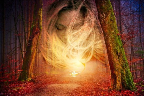 mind forest, Order of Bards, Ovates & Druids.
