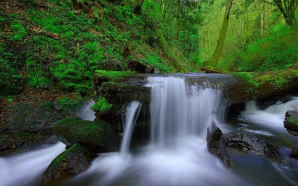 mini falls, Order of Bards, Ovates & Druids.