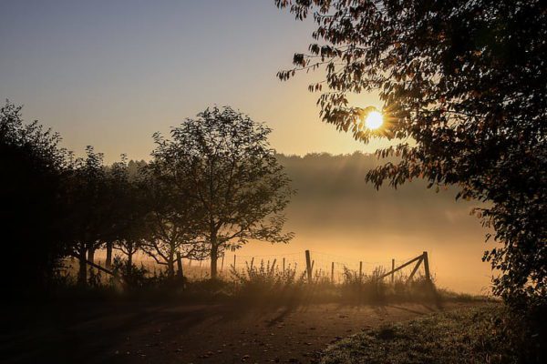 misty landscape, Order of Bards, Ovates & Druids.