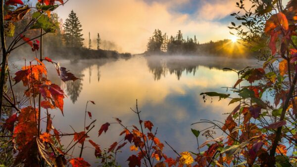 misty morning lake, Order of Bards, Ovates & Druids.