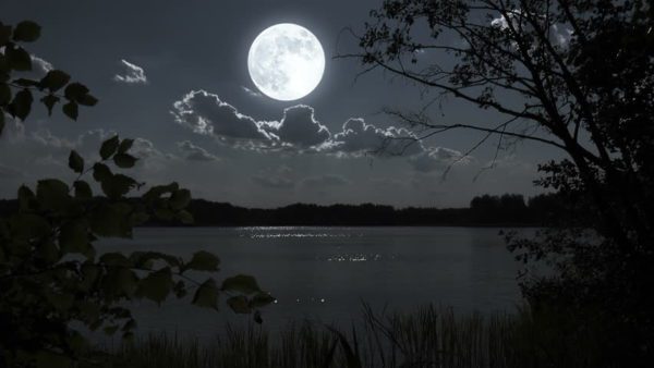 moon over lake, Order of Bards, Ovates & Druids.