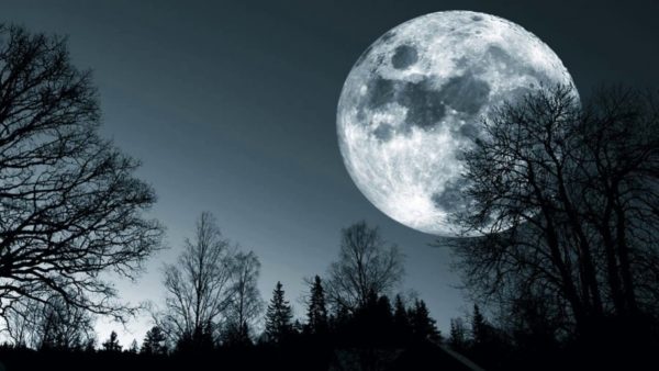 moon rise, Order of Bards, Ovates & Druids.