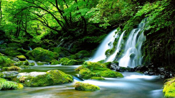 mossy waterfall, Order of Bards, Ovates & Druids.