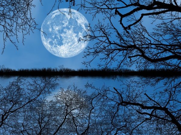 nature 5296373 960 720, Order of Bards, Ovates & Druids.