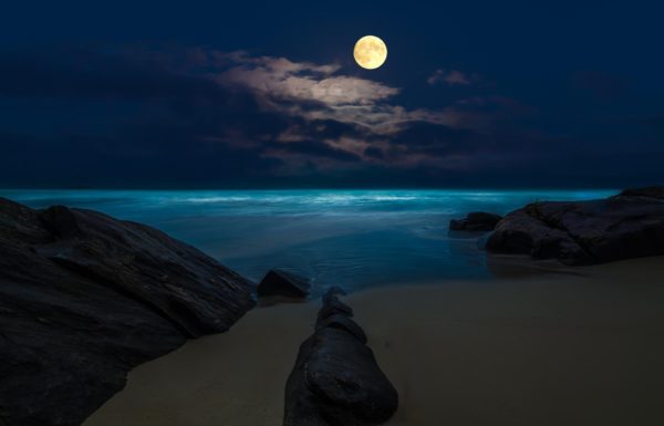 night beach, Order of Bards, Ovates & Druids.